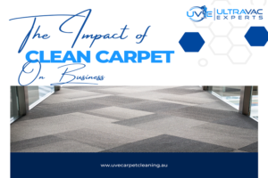 Regular Carpet Cleaning is Vital for Maintaining