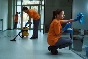 Professional Cleaning in Maintaining