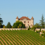 winegrowing property in south of France