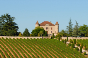 winegrowing property in south of France